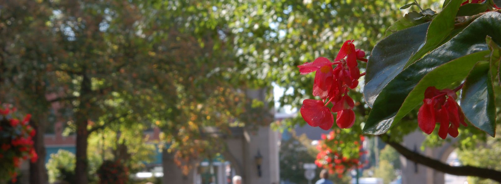 32 Fraternities and 20% percent of the Indiana University Bloomington Student body goes Greek with IFC recruitment